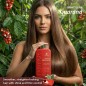 Kit Nano Repair Guaraná 2x1L – Natureza Cosméticos