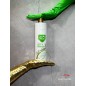 Kératine Aqua de riz 1L - Love Potion