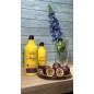 Magic Brush Maracuja 500ml – Natureza Cosmeticos
