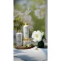 FELPS QUIABO XBTX POST-PROGRESSIVE SHAMPOO