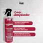 Nanotechnologie Capilar Eaê 500ml Rot
