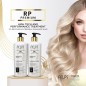 COLOR PREMIUM REKONSTRUKTIONS DUO 2 C 500ml