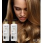 COLOR PREMIUM REKONSTRUKTIONS DUO 2 C 500ml