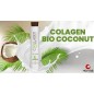 Bio-Kokosnuss-Kollagen, 1L Honma Tokyo (Wennoz Brasilien)