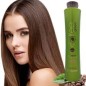 Coffee Green, 1L HONMA TOKYO(Wennoz Brazil)