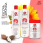 Japanisches Pinselset 2x1000ml