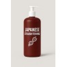 Japanisches Glätten