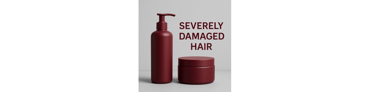 CHEVEUX SÉVÈREMENT ABÎMÉS (4-5)