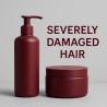 CHEVEUX SÉVÈREMENT ABÎMÉS (4-5)